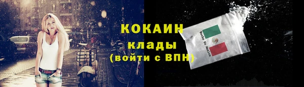 шишки Касимов