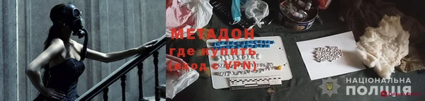 прущие грибы Каменка
