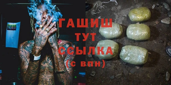 сатива Иннополис