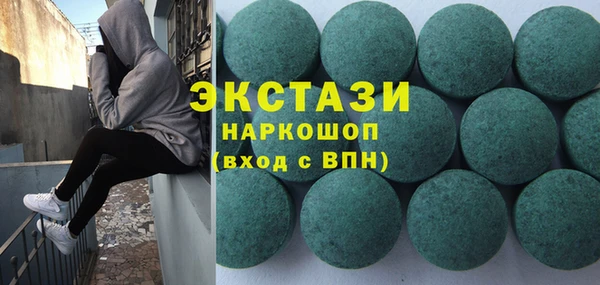 шишки Инта