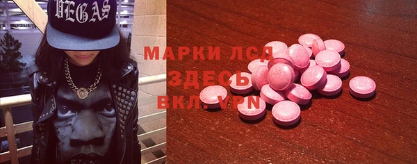 прущие грибы Каменка