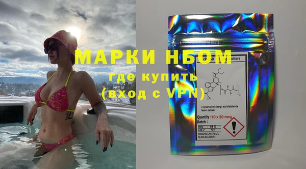 прущие грибы Каменка