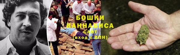 шишки Касимов