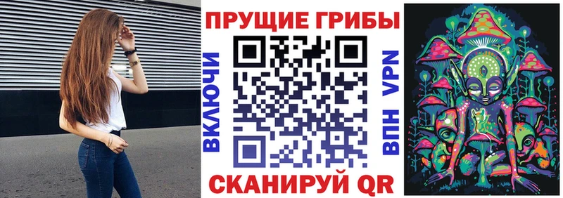 OMG онион  Тырныауз  Галлюциногенные грибы мухоморы 